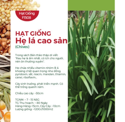 Hạt giống Hẹ lá cao sản 1gr