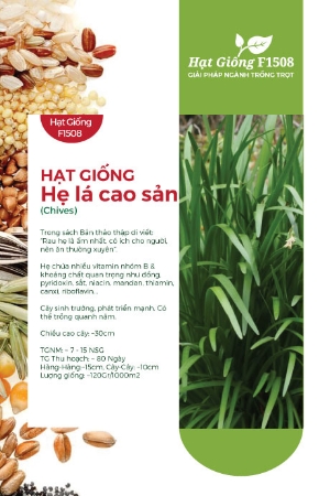 Hạt giống Hẹ lá cao sản 1gr