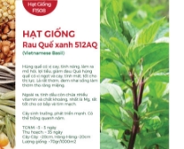 Hạt giống rau Quế xanh 512AQ