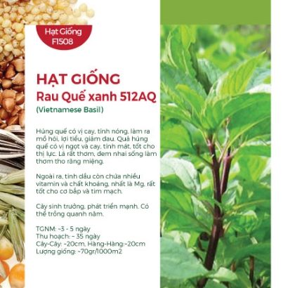 Hạt giống rau Quế xanh 512AQ