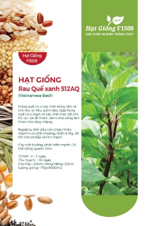Hạt giống rau Quế xanh 512AQ