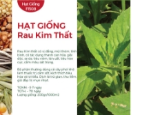 Hạt giống rau Kim Thất, Tàu bay, Cải trời