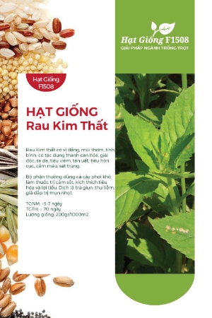 Hạt giống rau Kim Thất, Tàu bay, Cải trời