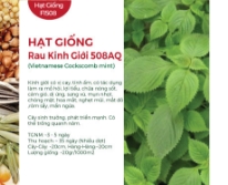 Hạt giống Rau kinh giới 508AQ