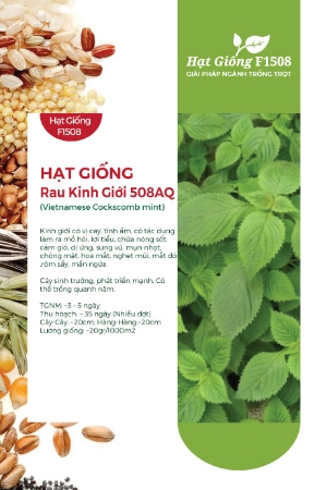 Hạt giống Rau kinh giới 508AQ