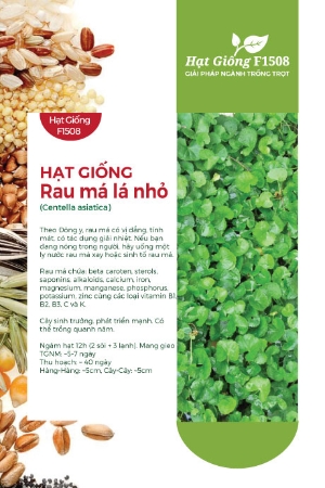 Hạt giống Rau má lá nhỏ