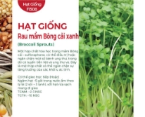 Hạt giống Rau mầm bông cải xanh