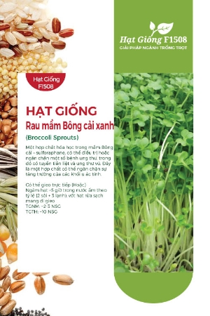 Hạt giống Rau mầm bông cải xanh