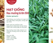 Hạt giống Rau muống lá lớn 508 - Gói 1Kg