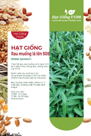 Hạt giống Rau muống lá lớn 508 - Gói 1Kg