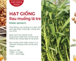 Hạt giống Rau muống lá tre 100gr