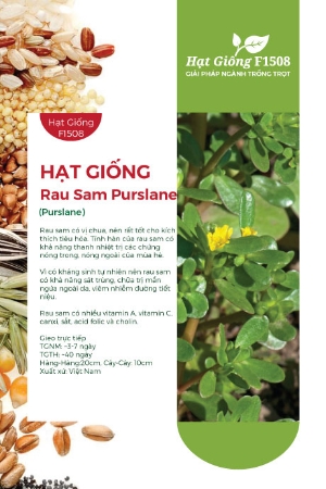 Hạt giống Rau Sam Purslane