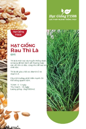 Hạt giống rau Thì Là