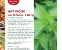 Hạt giống Rau thơm sả - É trắng