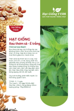 Hạt giống Rau thơm sả - É trắng