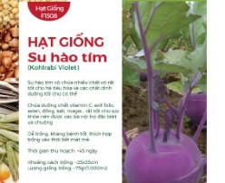 Hạt giống Su hào tím 332AQ