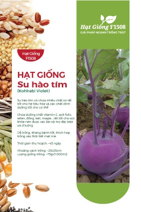 Hạt giống Su hào tím 332AQ