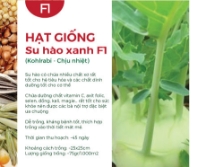 Hạt giống Su hào xanh chịu nhiệt F1 335AQ