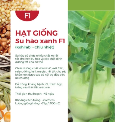 Hạt giống Su hào xanh chịu nhiệt F1 335AQ