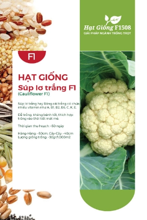 Hạt giống Súp lơ trắng F1