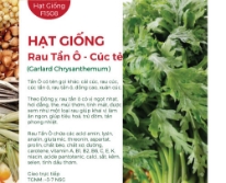 Hạt giống Tần Ô - Cúc tẻ