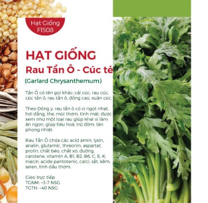 Hạt giống Tần Ô - Cúc tẻ