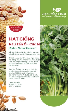 Hạt giống Tần Ô - Cúc tẻ