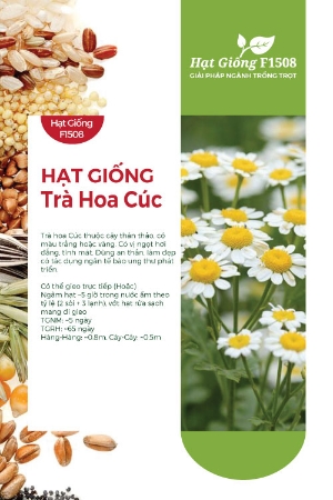 Hạt giống Trà hoa cúc