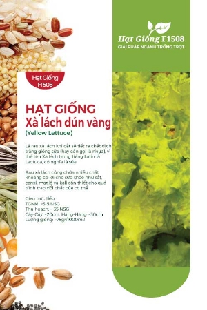 Hạt giống Xà lách dún vàng