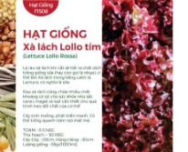 Hạt giống Xà lách Lollo tím 811AQ