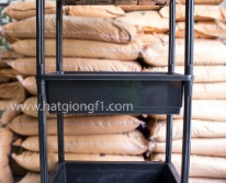 Kệ nhựa trồng rau 3 tầng