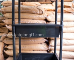 Kệ nhựa trồng rau 3 tầng