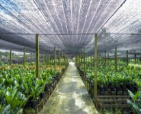 Lưới che nắng PE 70% - 2x5m
