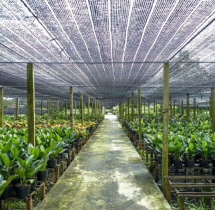 Lưới che nắng PE 70% - 2x5m