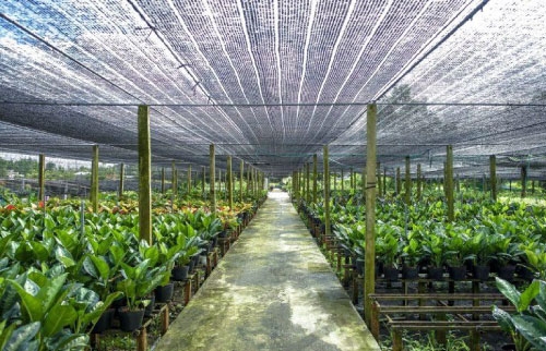 Lưới che nắng PE 70% - 2x5m