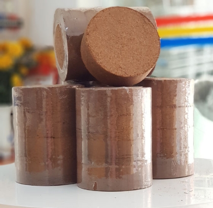 Mụn dừa ép viên - Khối 4 viên