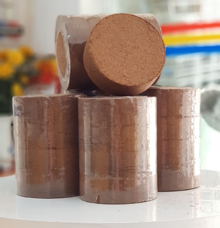 Mụn dừa ép viên - Khối 4 viên