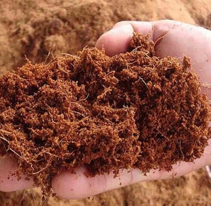 Mụn xơ dừa đã qua xử lý