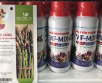 Phân bánh dầu Đậu phộng - Chai 250ml