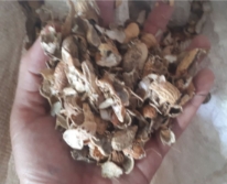 Vỏ đậu phộng khô 9dm3