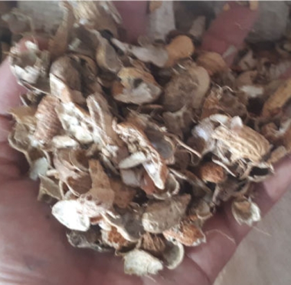 Vỏ đậu phộng khô 9dm3
