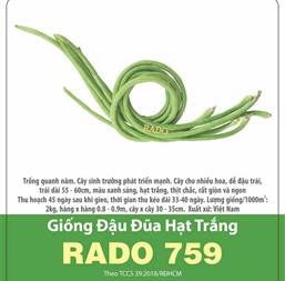 Hạt giống Đậu đũa hạt trắng - Gói 100gr