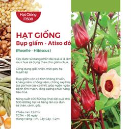 Hạt giống Bụp giấm - Atiso đỏ 2gr