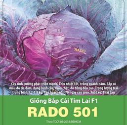 Hạt giống Bắp cải tím lai F1 - Gói 10Gr