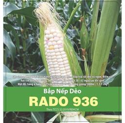 Hạt giống Bắp nếp dẻo Rado 936 - Gói 100gr