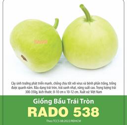 Hạt giống Bầu trái tròn 1gr