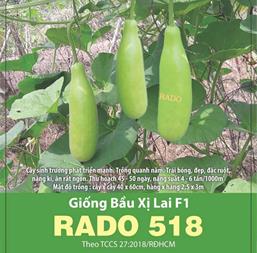 Hạt giống Bầu xị lai F1 - Gói 10gr