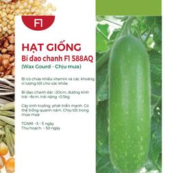 Hạt giống Bí đao chanh lai F1 Rado 1331 - Gói 0.2gr