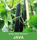Hạt giống Bí đao xanh trái dài Java - Gói 2gr