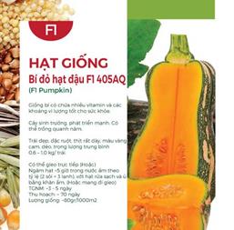 Hạt giống Bí đỏ hạt đậu F1 - 5gr